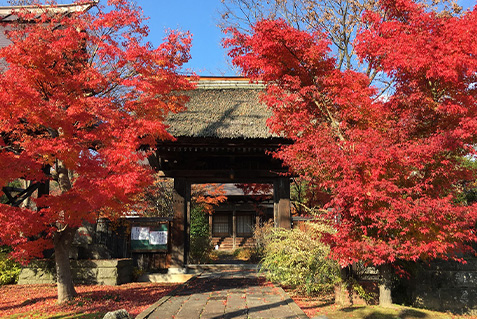 飯山市「寺町の紅葉」